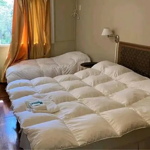 Hotel rio de loa pájaros Colón