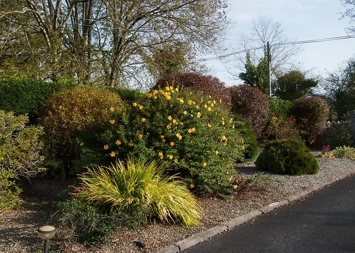 Innisfree B&B Bunratty