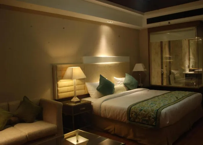Hotel Plutos Vasant Kunj New Delhi