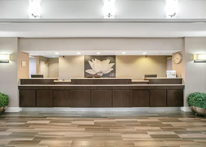 La Quinta By Wyndham Dfw Airport South / Irving Hotel