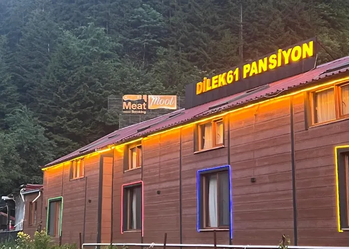 61 Dilek Pansiyon Uzungöl