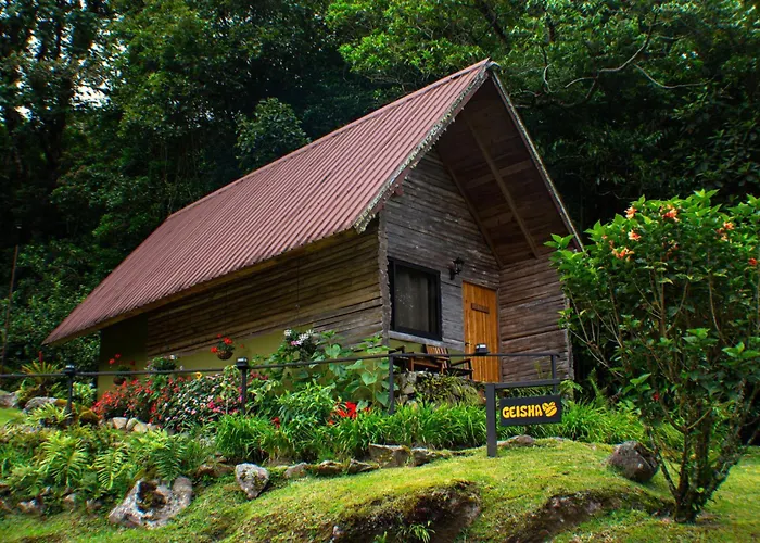 Tree Trek Boquete Adventure Park Hotel