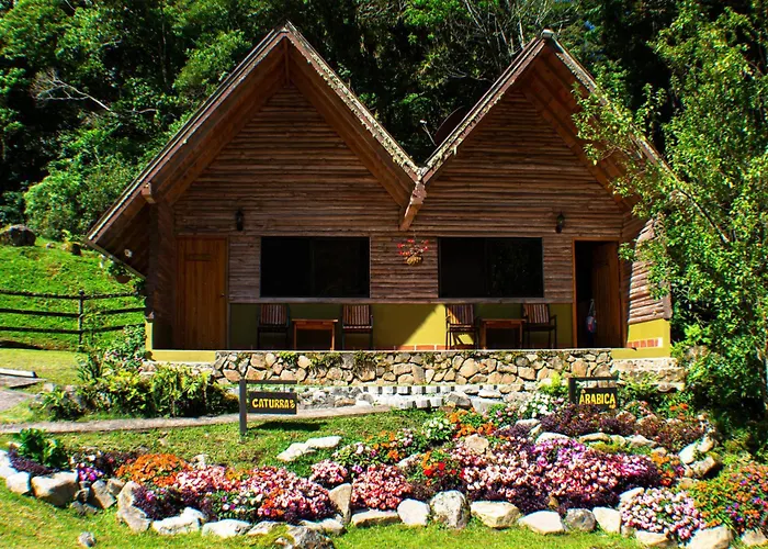 Tree Trek Boquete Adventure Park Hotel