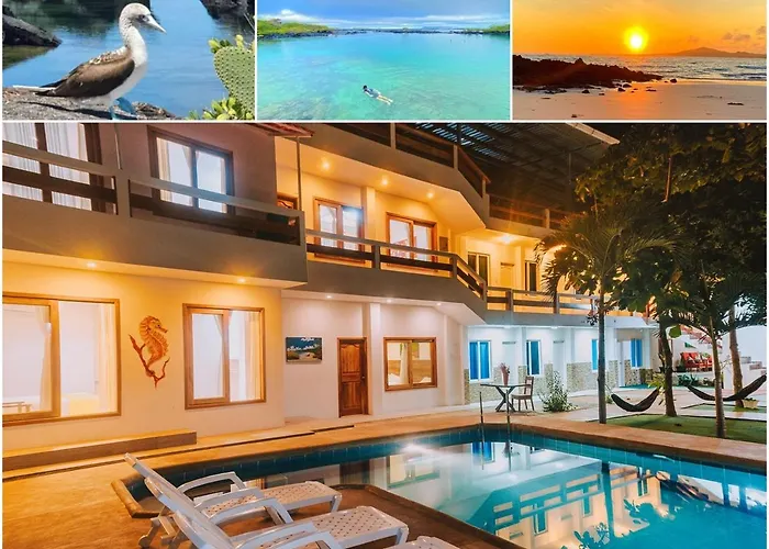 Galapagos Isabela Hotel Loja Puerto Villamil