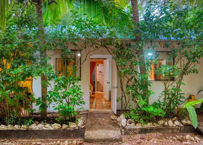 Jungles Edge Hotel, Jiu Jitsu, Muay Thai Retreat Center Nosara