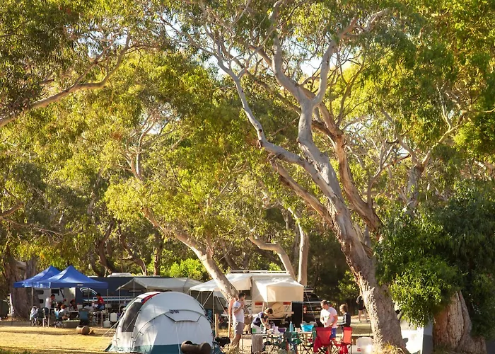 Bimbi Park - Camping Under Koalas Cape Otway