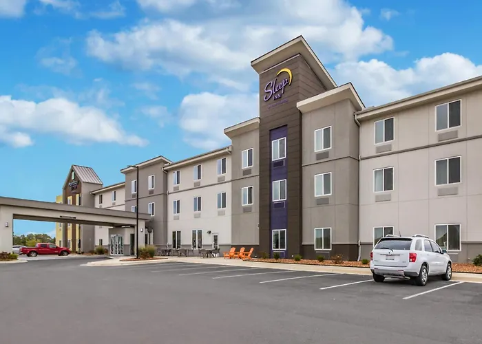 Sleep Inn At Discovery Park Of America Union City