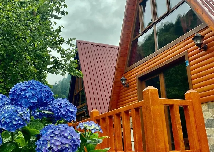 Kotıt Ayder Otel