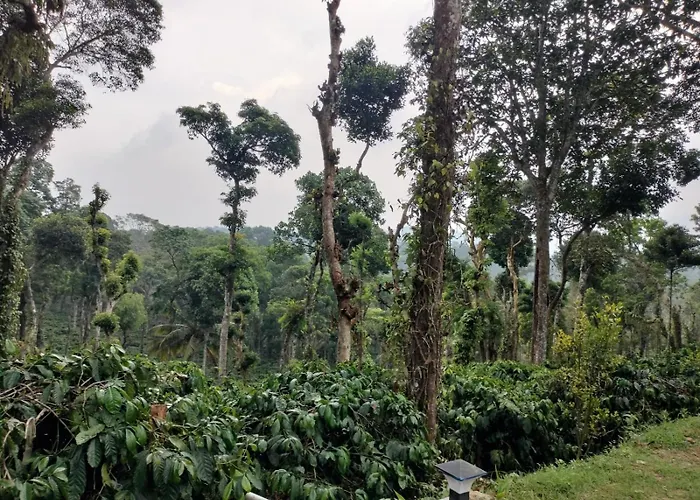 Orange Valley Plantation Holiday Coorg Virajpet