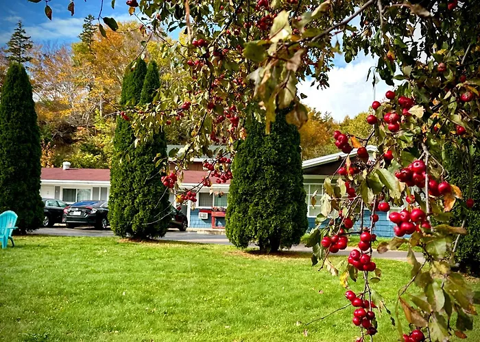Aberdeen Motel Whycocomagh