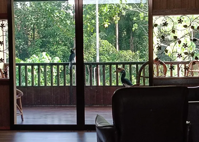 Sepilok B&B