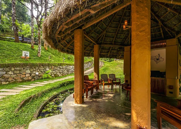 Chembarathi Wayanad Boutique Resort Vaduvanchal