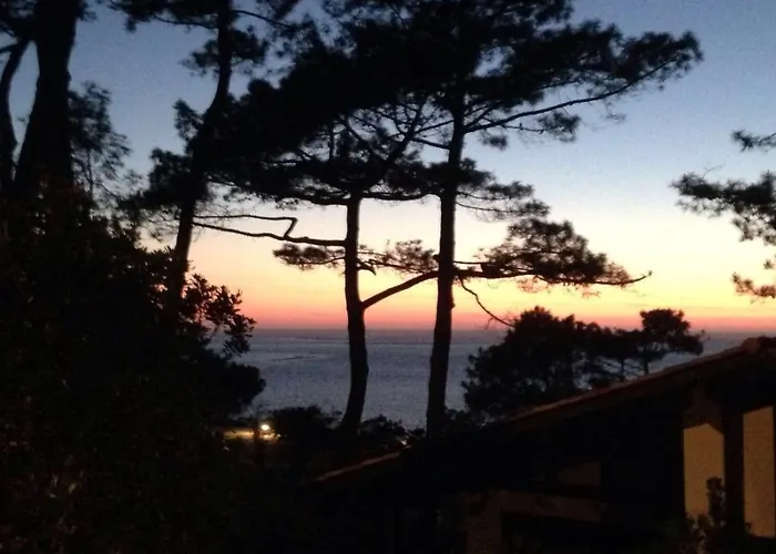 Maison Albatros Pyla-sur-Mer