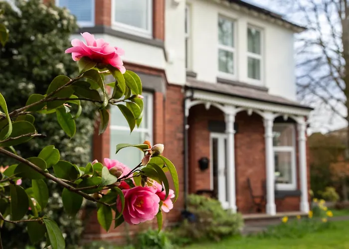 The Hive At 52 Bed & Breakfast Northwich