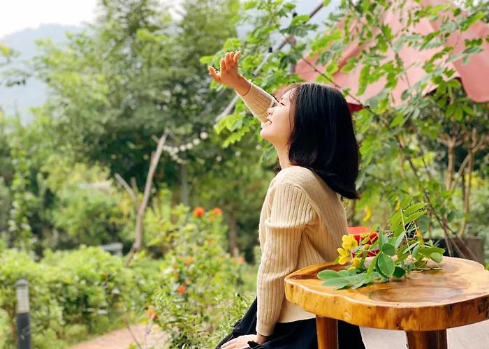 Căn Gỗ Hà Nội