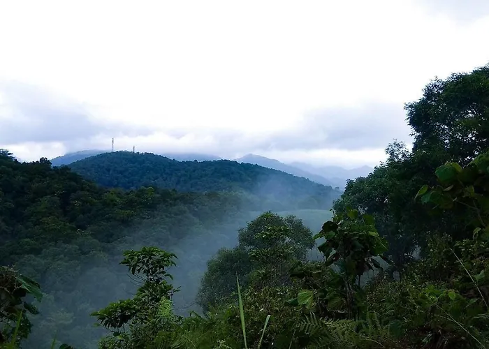 Rain Country Jungle Resort Vythiri