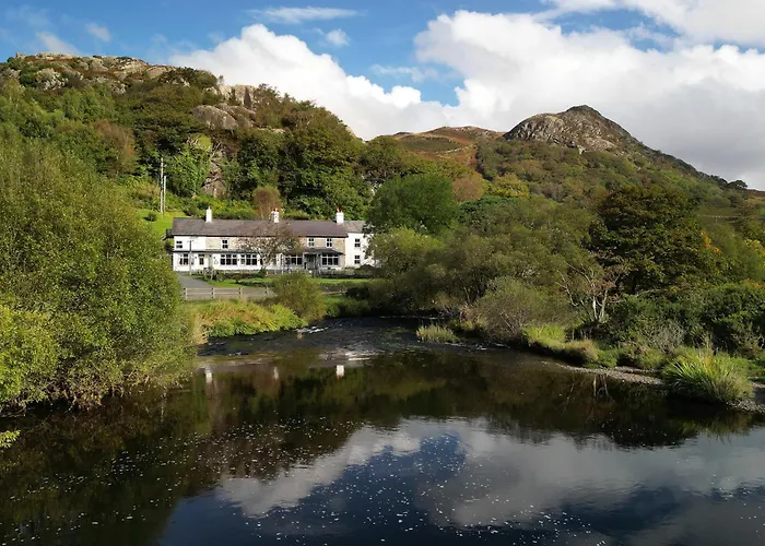 The Bryn At Capel Hotel