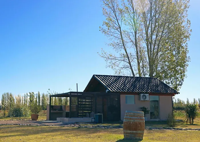 Martyniuk lodges entre viñedos San Rafael 