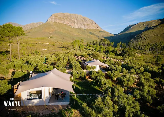 Wagyu Mountain Lodge Paarl