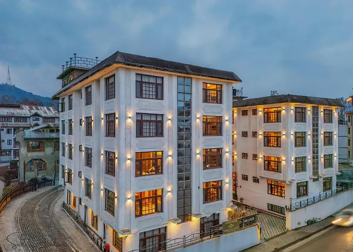 Hotel Sideeq Palace Srinagar 