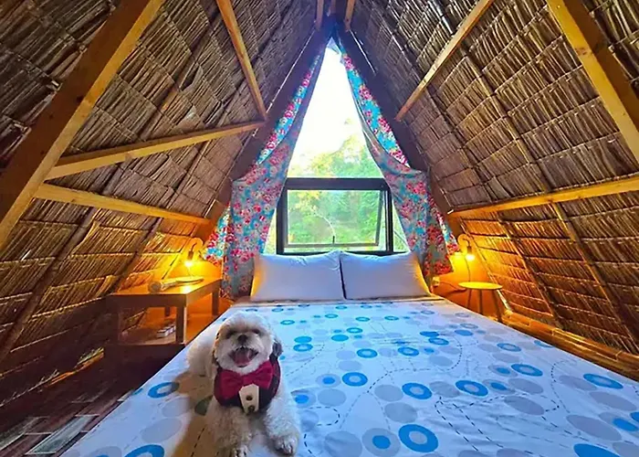 The Secret Hut Aparthotel Cebu
