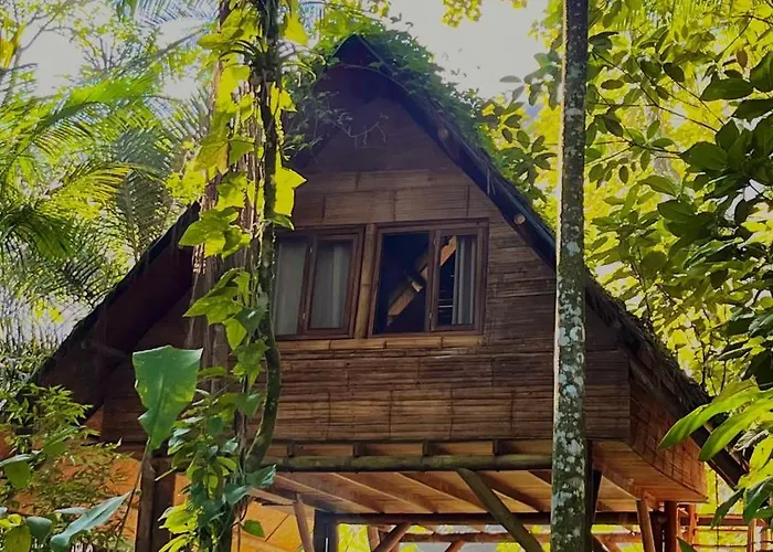 Bed and Breakfast Sitio Simple Life Ubatuba