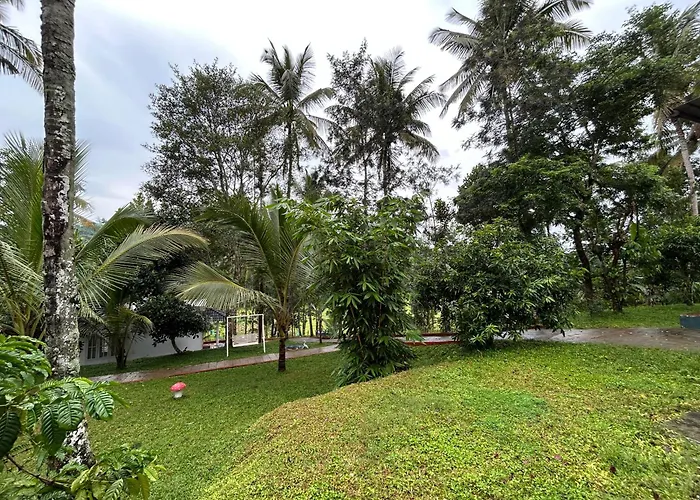 Silver Oak By Exuberance Stays Wayanad