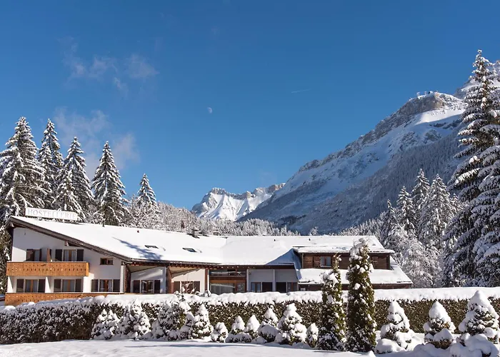 Hotel Les Sources Les Diablerets