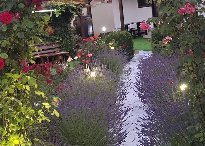 Casa Maria Hotel Jupiter