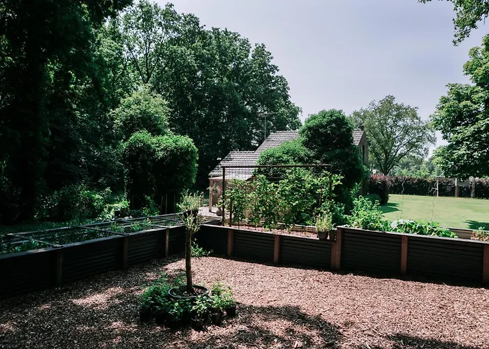 Bosserheide Well 