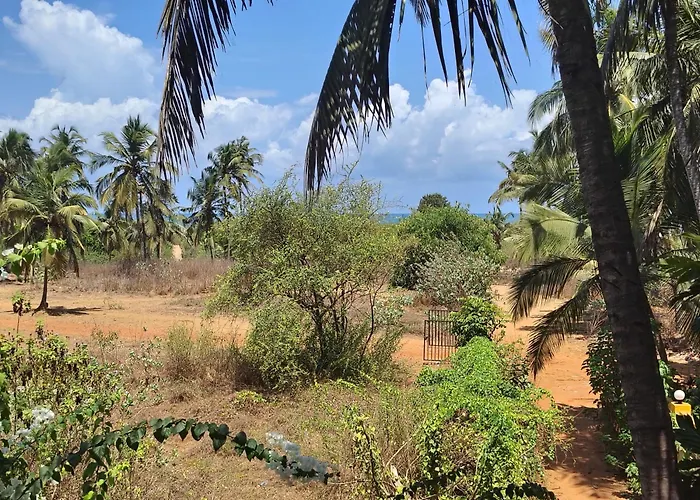 Camrose Guest House Candolim