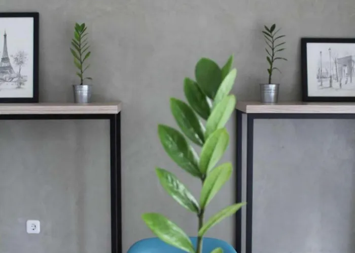 Casa Living Setiabudi Jakarta