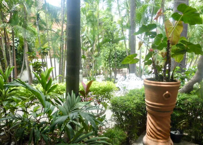 Hotel Bajo el Volcan Cuernavaca
