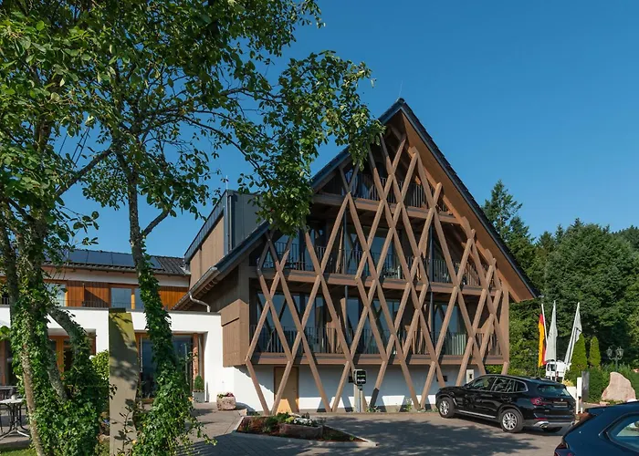 Hotel Die Alm Oberkirch 