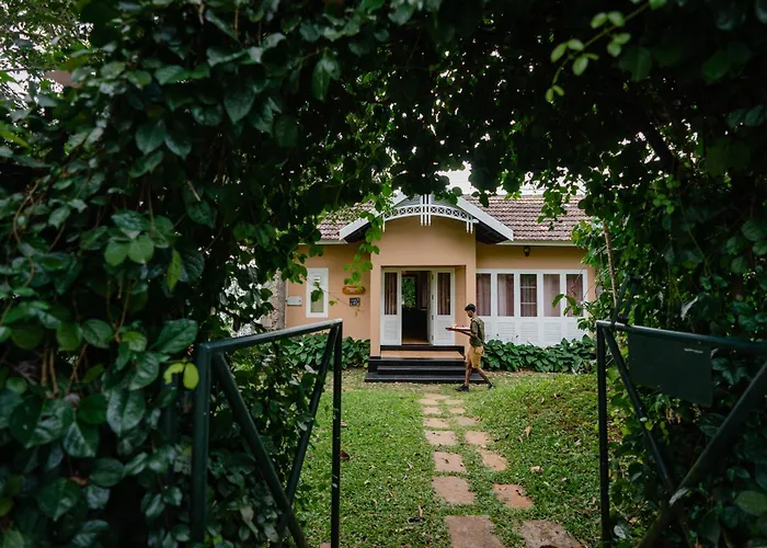 After The Rains - Rainforest Lodge, Wayanad Meppadi