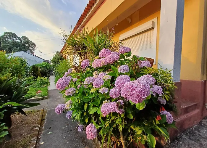 Casa Da Tia Lena Acomodação com café da manhã Coimbra