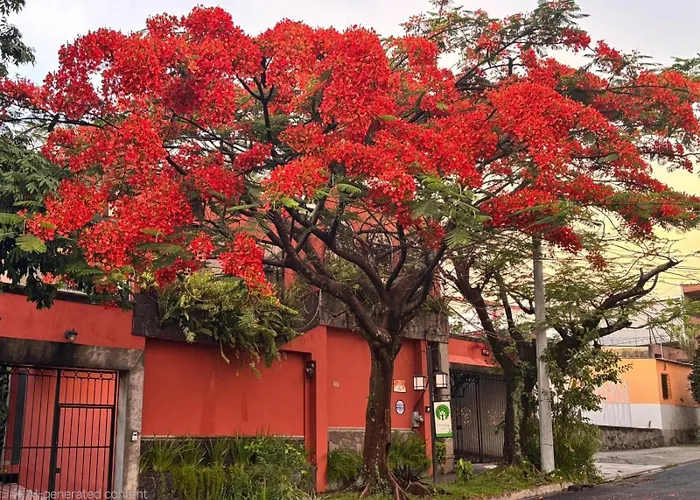 Arbol De Fuego Eco-Hotel San Salvador
