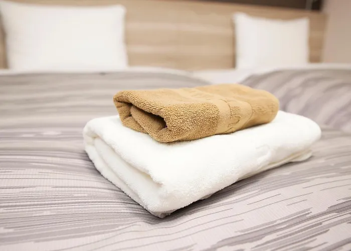 Hotel Route-Inn Hikone