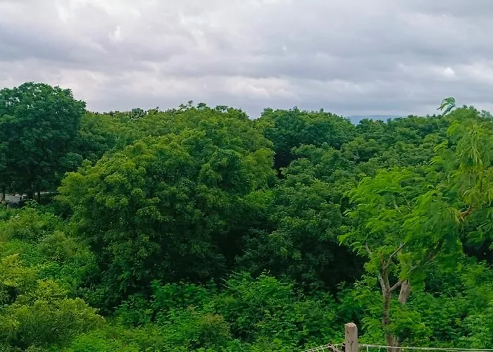 Hampi Anjana Home Stay