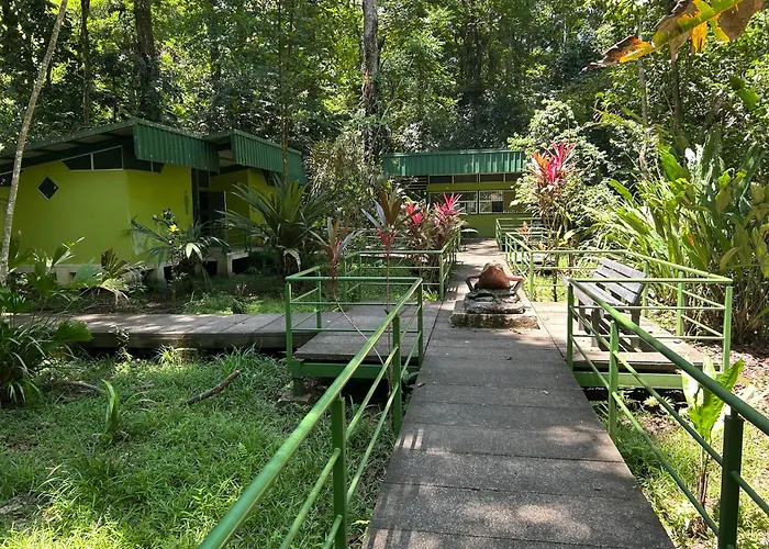 Miss Miriam Beachfront Cabins Tortuguero