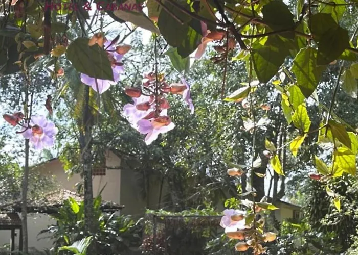 Orquideas Hotel & Cabanas Puerto Iguazú