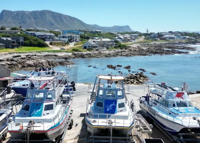 White Shark Guest House Gansbaai