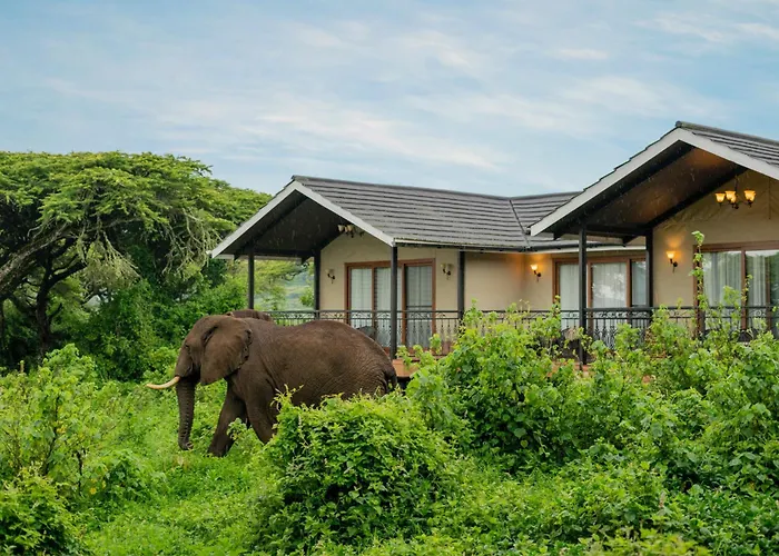 Ngorongoro Lion'S Paw Hotel
