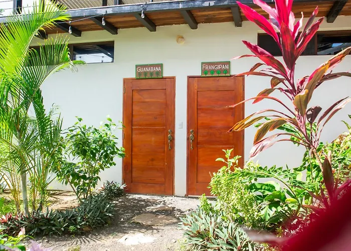 Four Trees Jungle Lodge San Juan del Sur