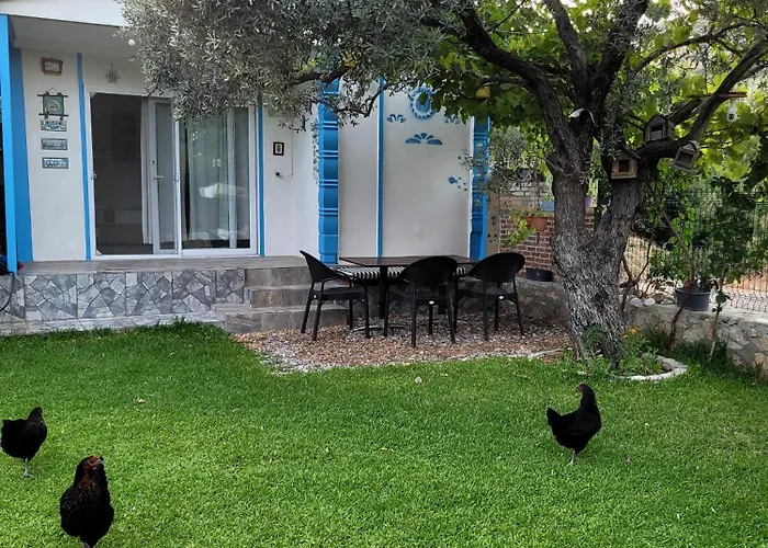Kuruyanos Ağaç Evleri Bed & Breakfast Datça