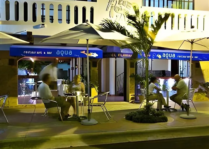 Flamingo Hotel Cozumel