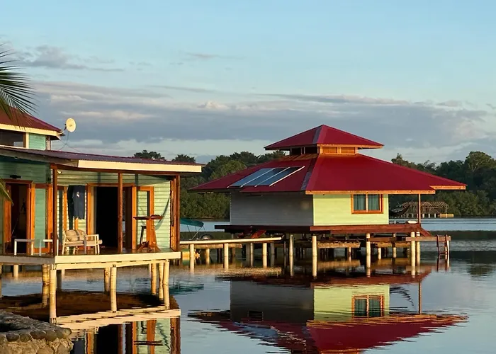 Dolphin Blue Paradise Bocas del Toro