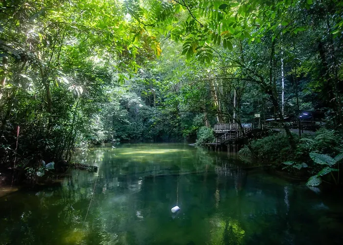 Mulu National Park Hotel