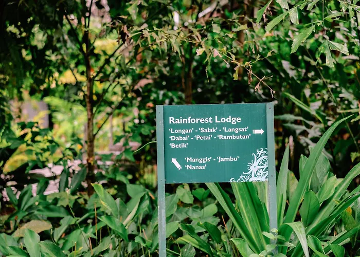 Mulu National Park Hotel