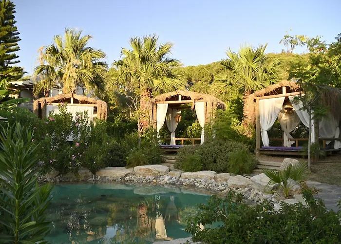 Kairos Valley Wellness & Longevity Datça